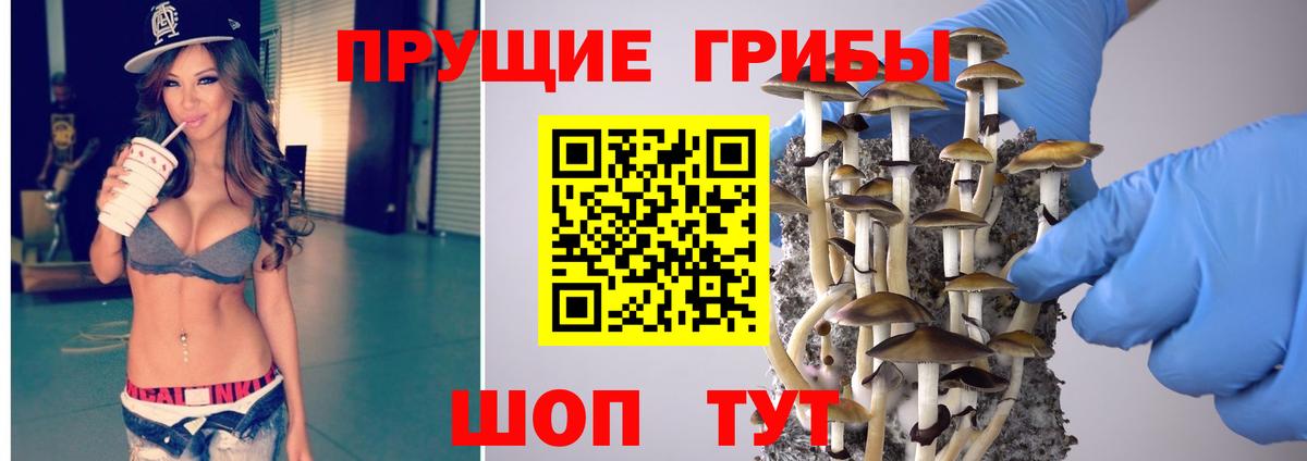 Галлюциногенные грибы GOLDEN TEACHER  Галлюциногенные грибы MAGIC MUSHROOMS  Вход с VPN  Сухой Лог 